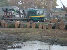 Mohács
