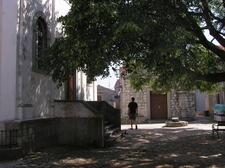OLYMPUS DIGITAL CAMERA         